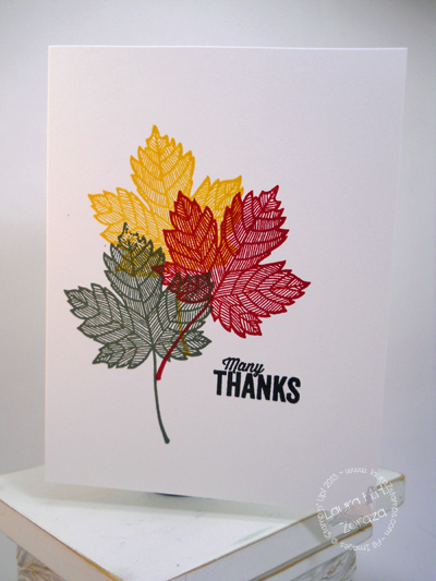 Fall Leaves Many Thanks Card