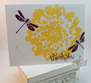 Thank-You-Dragonfly card