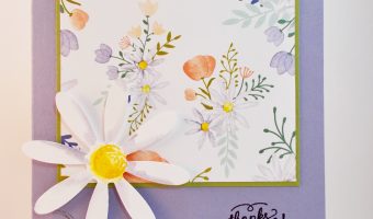 Delightful Daisy DSP